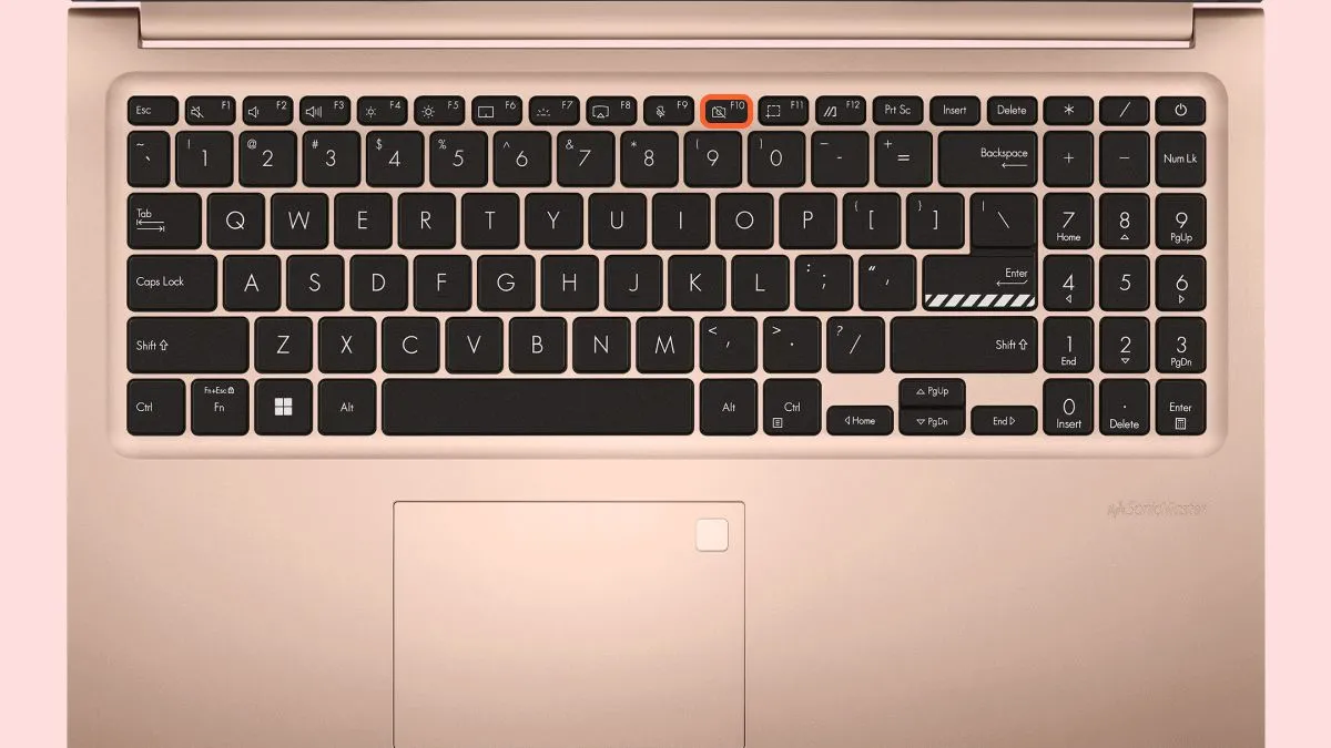 Kích hoạt lại Touchpad bằng tổ hợp phím Fn và phím chức năng