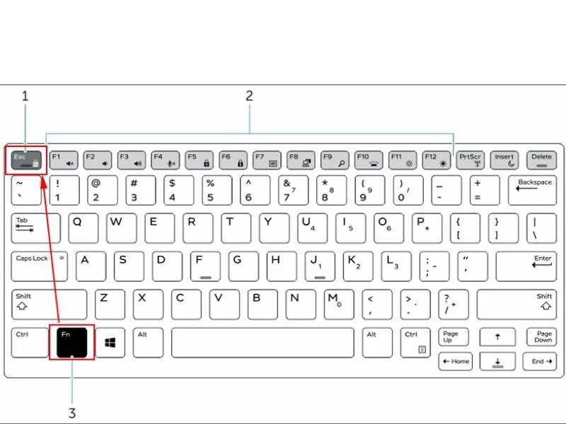 Bật tắt phím Fn trên laptop Dell đơn giản trên bàn phím
