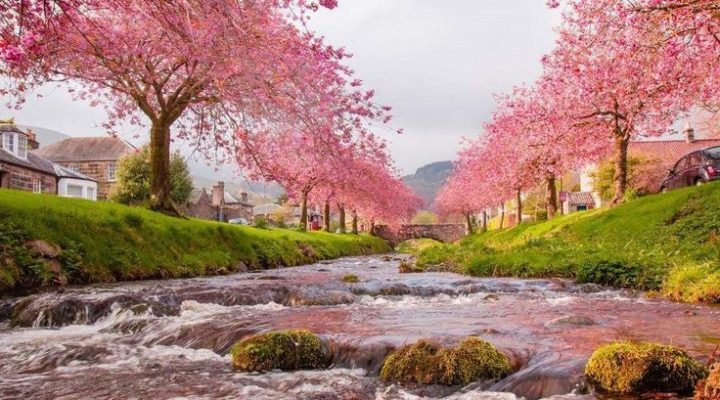 cách tải hình nền cho laptop: Hướng Dẫn Toàn Diện Tải, Cài Đặt và Tối Ưu Wallpaper Chất Lượng Cao