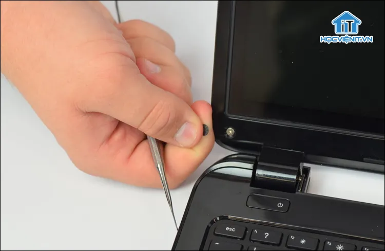 Sử dụng nhíp nhẹ nhàng cạy miếng đệm cao su che ốc