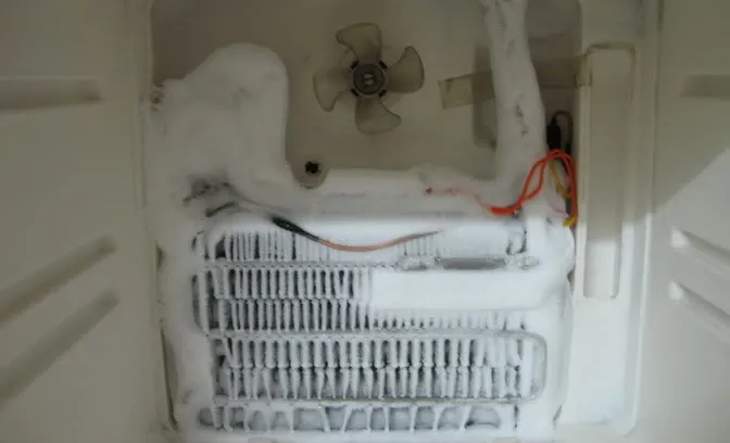 Cận cảnh quạt thông gió bên trong tủ lạnh Samsung